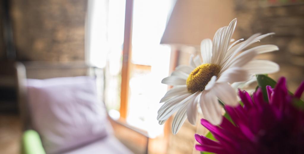 Casa Insol Konuk evi Denuy Dış mekan fotoğraf